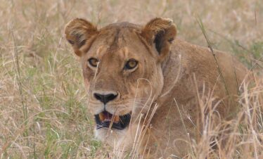 3 Days Arusha national park trip